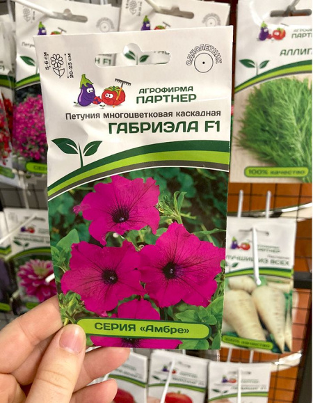 петуния Габриэла F1 каскадная, серия "Амбер"